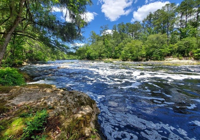 Big Shoals State Park, Florida, USA